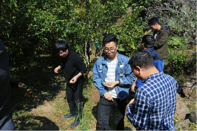维多利亚老品牌vic(集团)官方网站